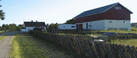 Berger Gård Kattehotell
