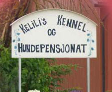 Kelili's Hundepensjonat 