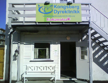 Kongsberg Dyreklinikk 