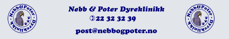 Nebb & Poter Dyreklinikk 
