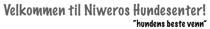Niweros Hundeservice