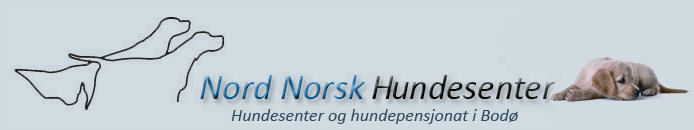 Nord Norsk Hundesenter AS 