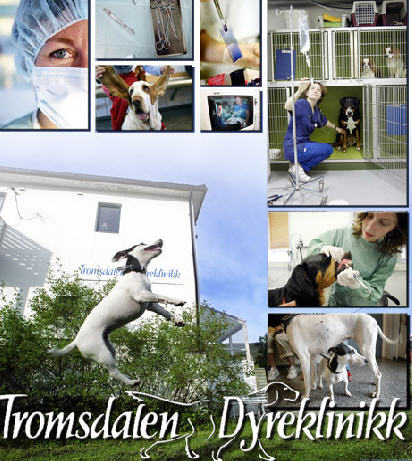 Tromsdalen Dyreklinikk 