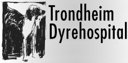 Trondheim Dyrehospital 