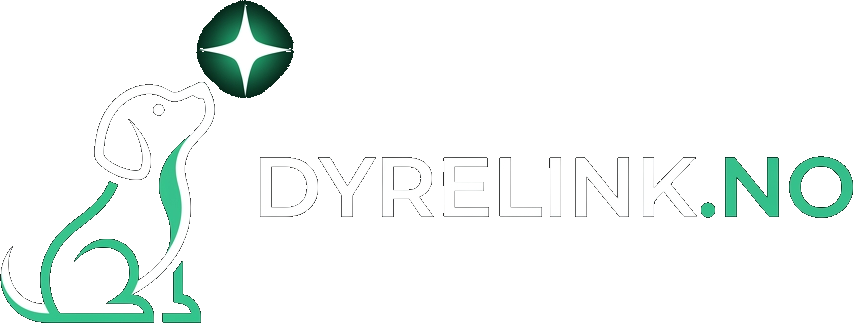 Dyrelink Logo - Dog Looking Up At Star